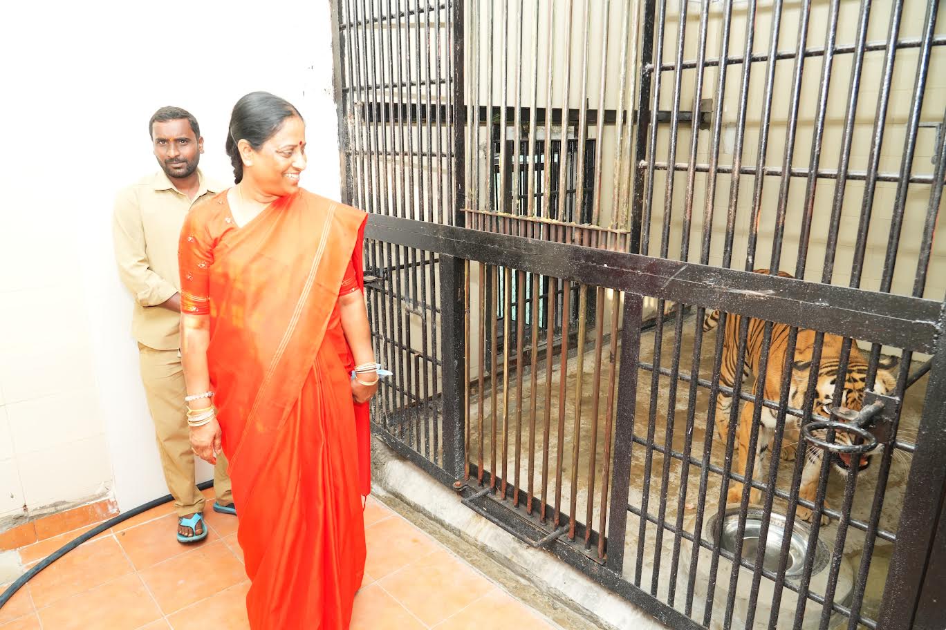 Kakatiya Zoological Park to Welcome White Tigers and Lions, Announces Minister Konda Surekha