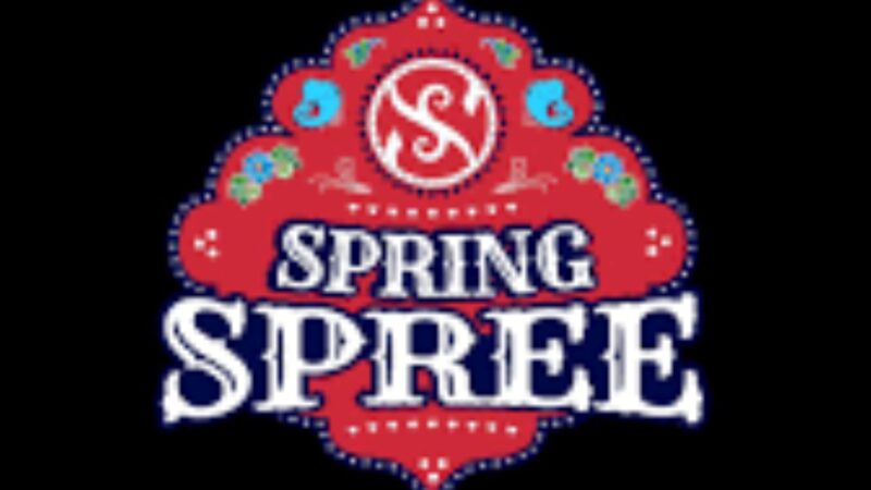 NIT Warangal to Host ‘Spring Spree’ Cultural Festival from February 28 to March 2