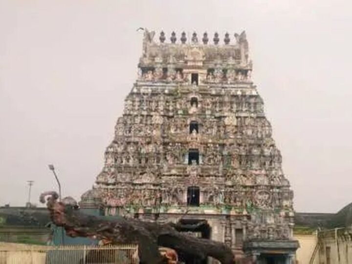 Vaitheeswaran Temple: The Healing Temple of Tamil Nadu