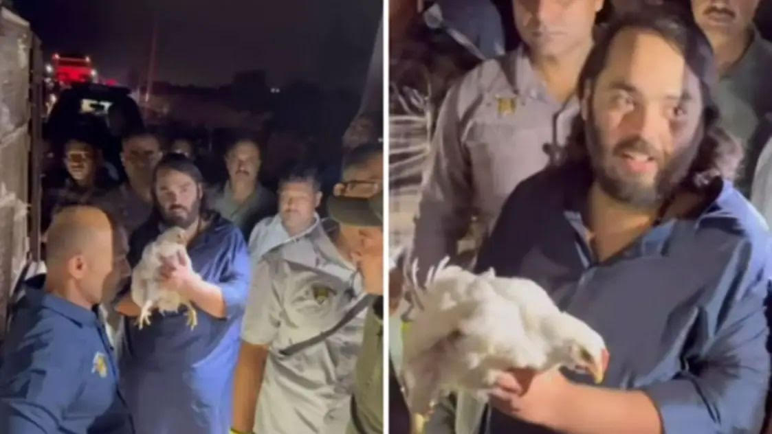 Anant Ambani’s Act of Kindness: Buys Chickens at Double Price, Video Goes Viral