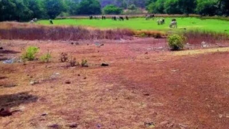ED Launches Investigation into Bhoodan Land Scam in Telangana