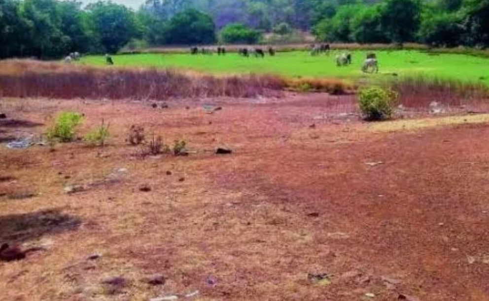 ED Launches Investigation into Bhoodan Land Scam in Telangana