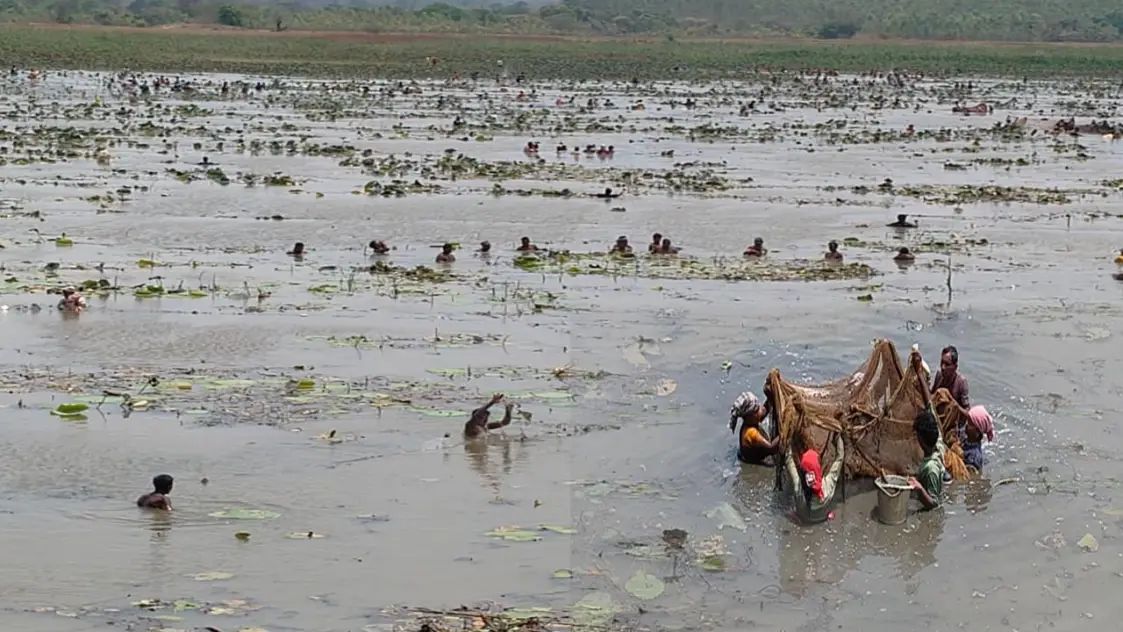 Annual Fish Festival Brings Together Communities in Kukunoor Mandal