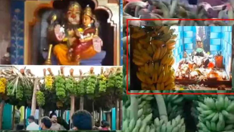 Unique Tradition of Offering Banana Stems at Lakshmi Narasimha Swamy Temple in Andhra Pradesh