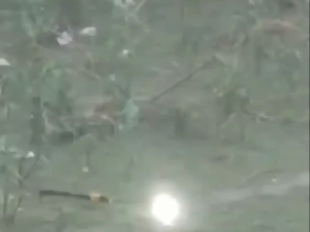 Lightning Strikes Sri Lanka Colony as Telangana Faces Unseasonal Rains