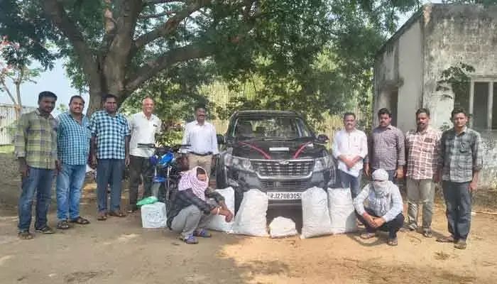 Cannabis Smugglers Intensify Operations Despite Strict Surveillance